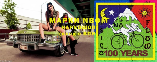 ГАЛЛЮЦИНОГЕННЫЕ ГРИБЫ Майский